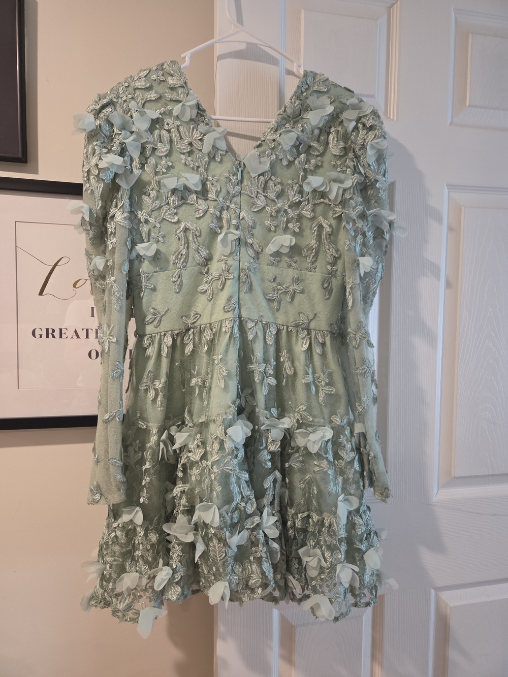 Dress The Population Floral Lace Dress, Size M - Picture 2 of 7